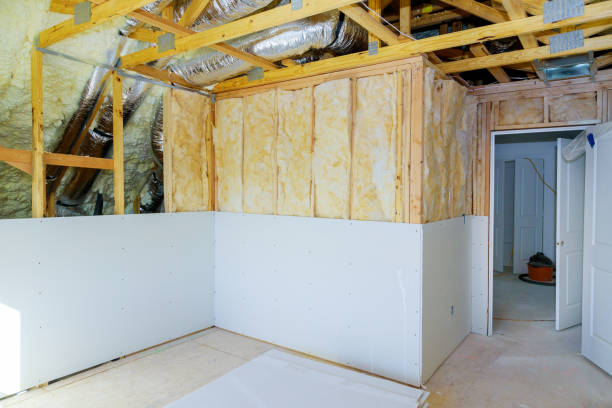 Best Insulation Removal  in USA